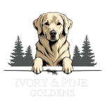 Golden Retriever Logo with Pine Trees, white