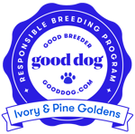 ivory-pine-goldens-indiana-badge