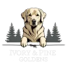 Ivory & Pine Goldens